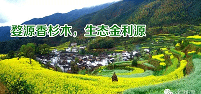 金利源板材/金品質(zhì) 源生態(tài).從源頭精挑細(xì)選，為品質(zhì)保駕護(hù)航——中國(guó)板材十大品牌品質(zhì)篇