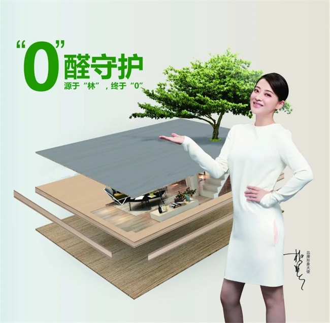 國慶黃金周家裝必備：金利源ENF級(jí)香杉實(shí)木生態(tài)板